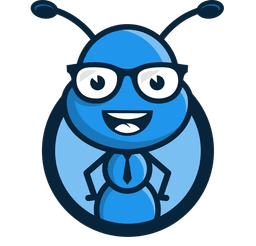 AMEISE Logo